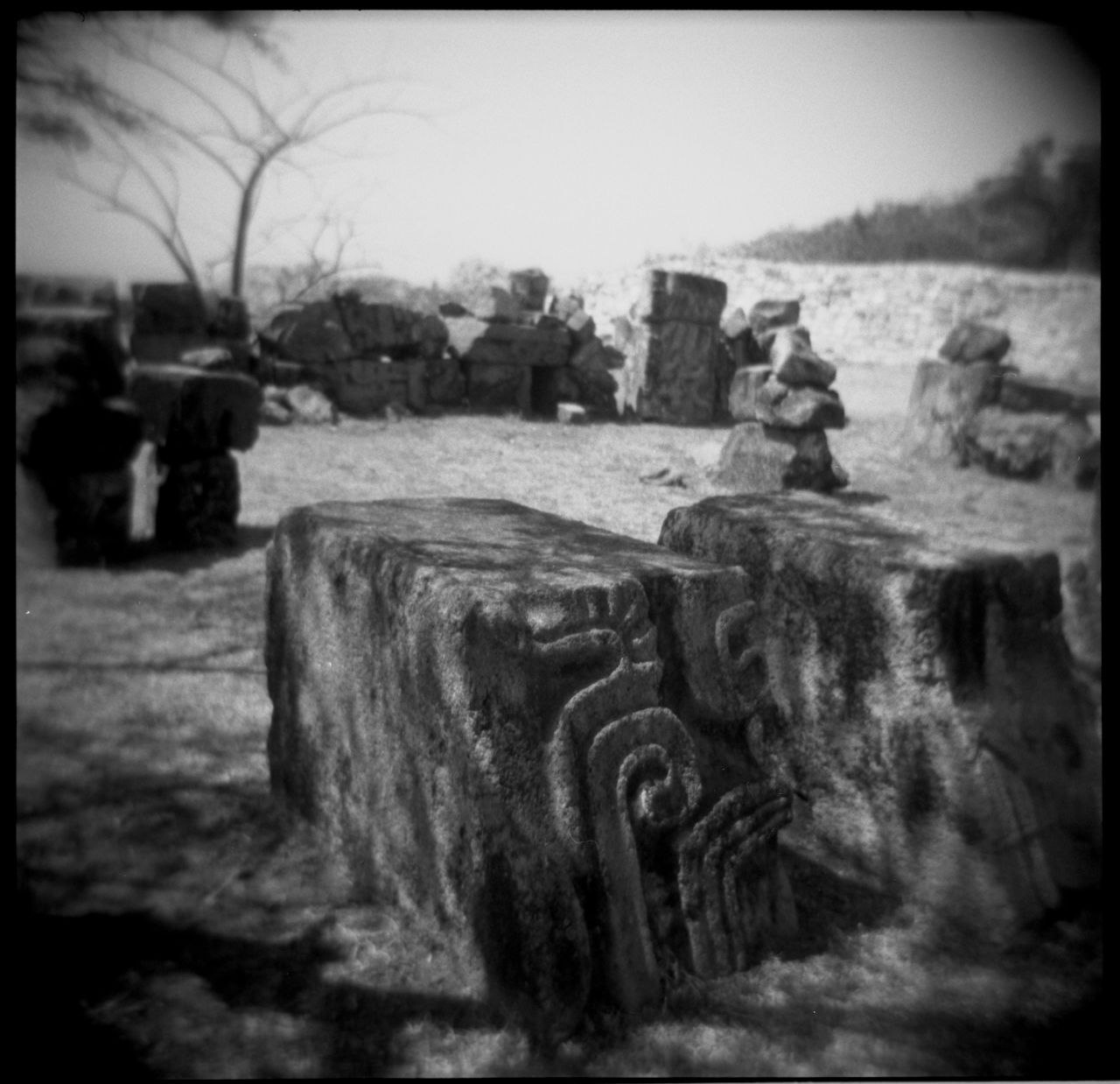 Casa de flores — Clemente Castor