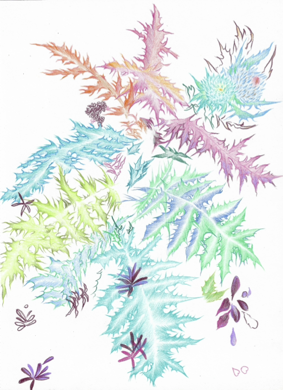 Chicalote N4 — Daniela Ramírez