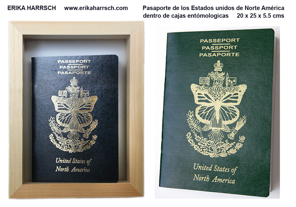 Pasaporte de los Estados Unidos de Norte América — Erika Harrsch