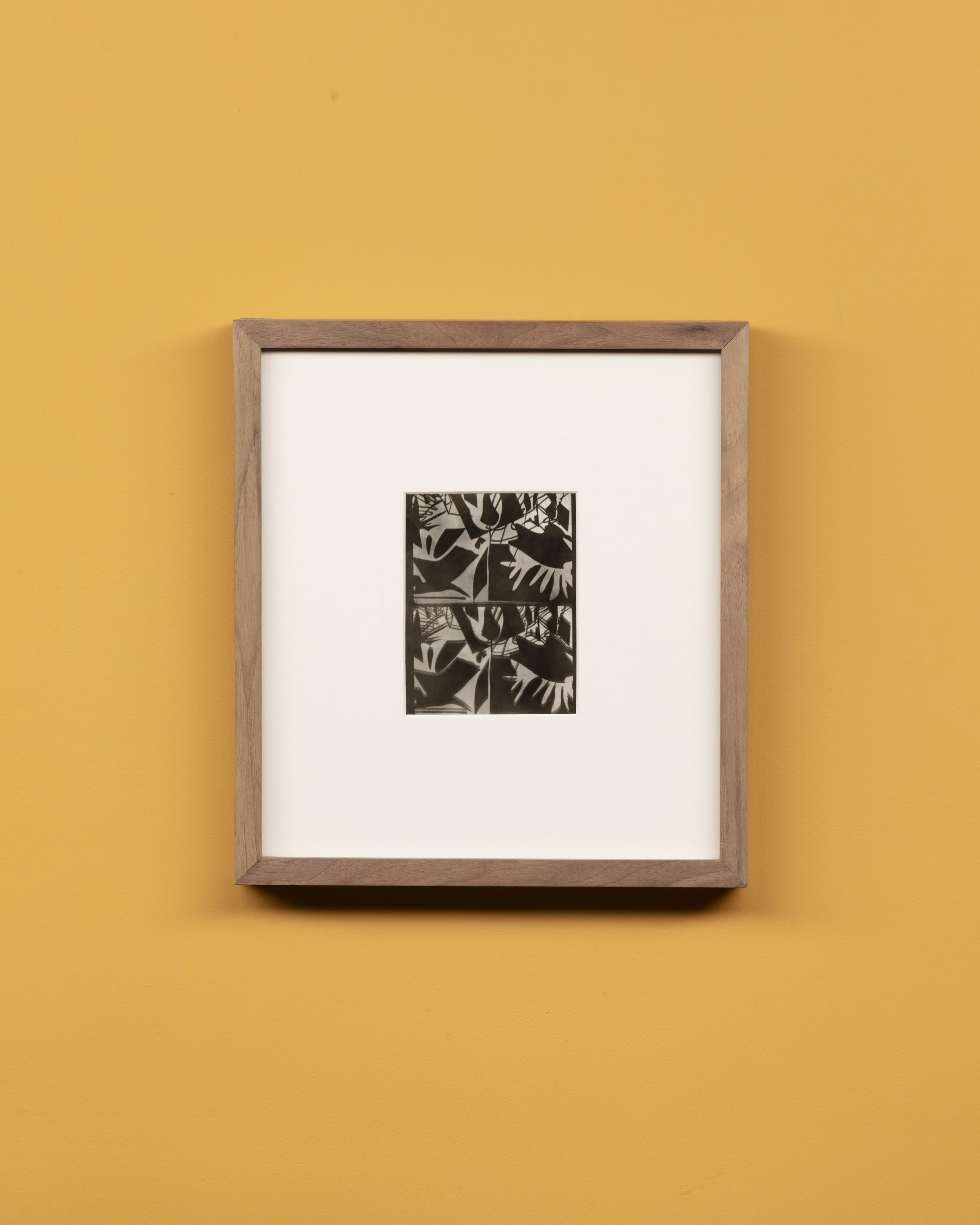 Fotografía analógica en blanco y negro — Manuela De Laborde