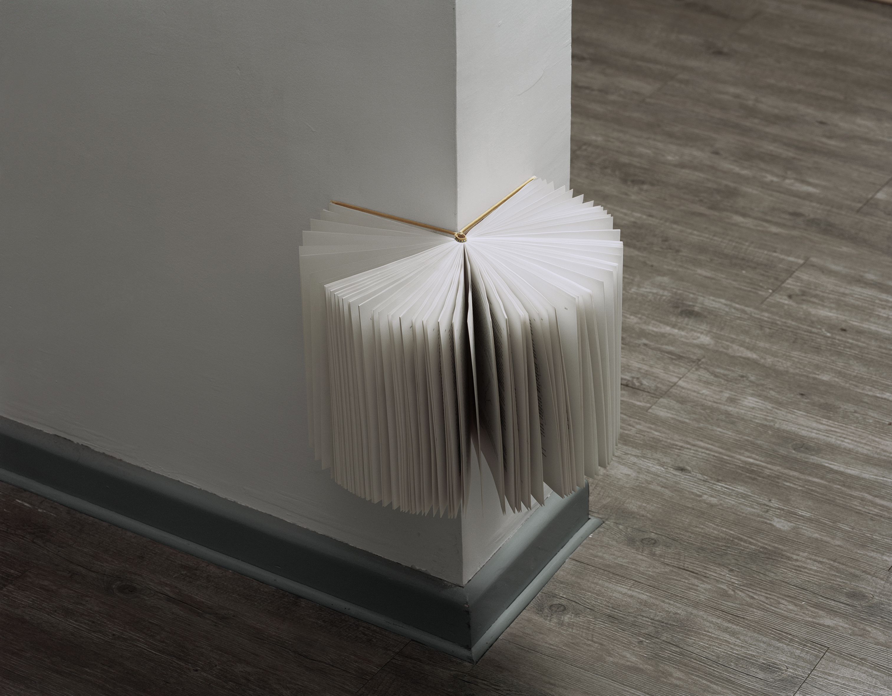 270 Degrees — Mauricio Alejo