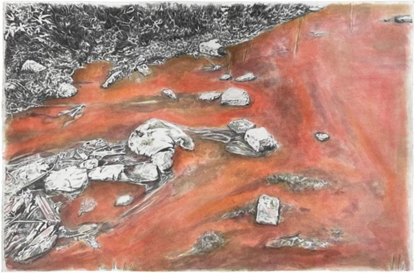 Estudio de color I, Río Caliente, Bosque de la Primavera — Valeria Michelle